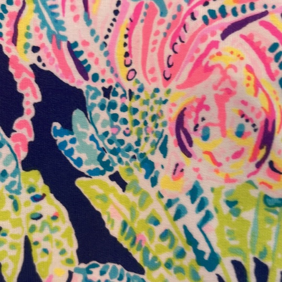 Lilly Pulitzer 🤩 hoodie sweatshirt - Picture 6 of 9